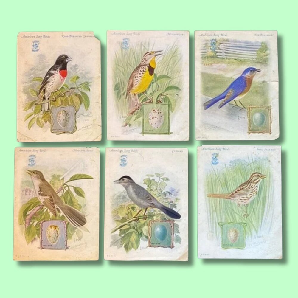 Antique Singer Songbirds Cards Collection Set of 6 c. 1926/1927